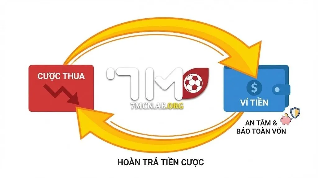 Các chương trình nổi bật